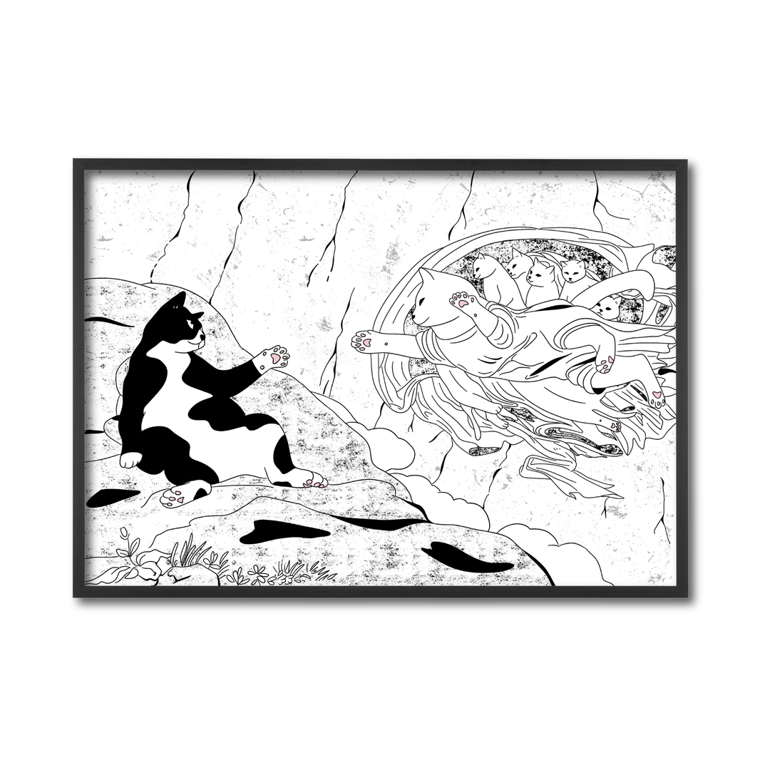 Creation of Cat-dam