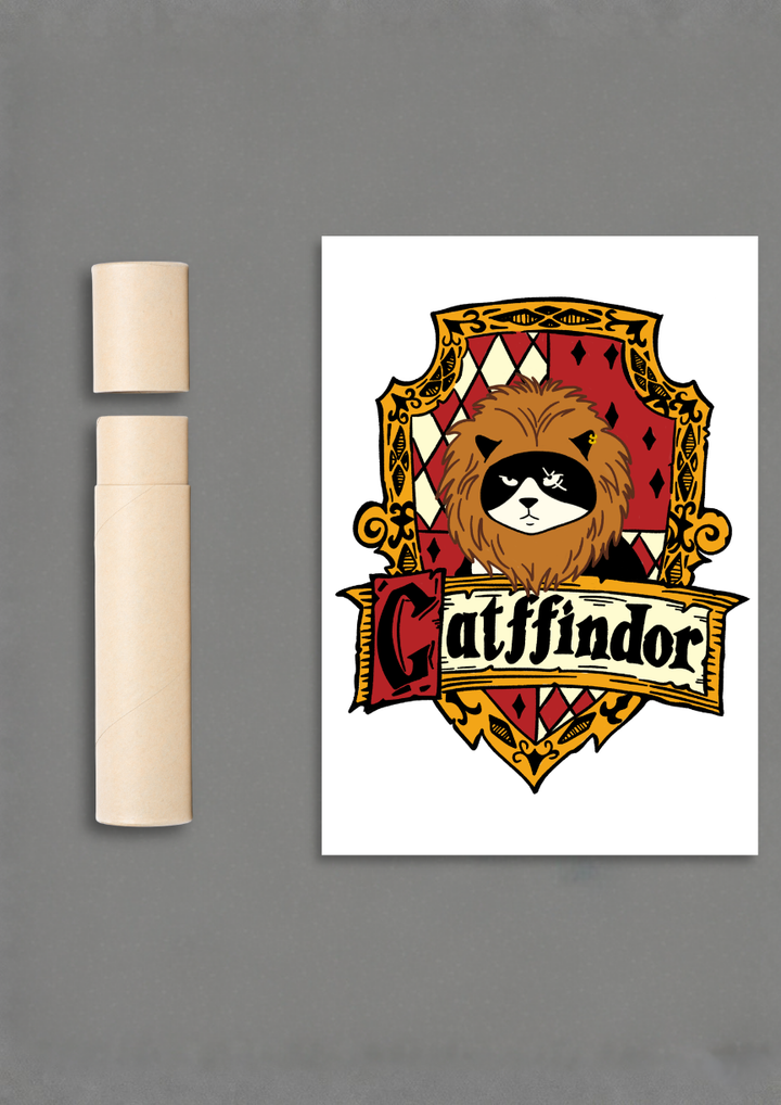 Catffindor